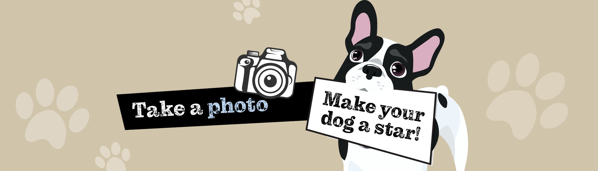 take a photo, make your dog a star!