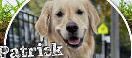 Peoples Gas doggone it winner 2025 Patrick