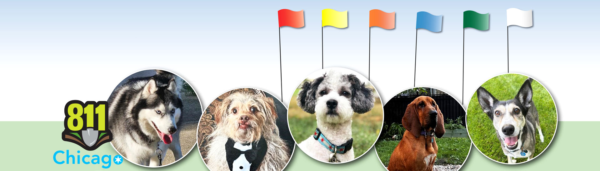 Vote for our safe digging ambassadog