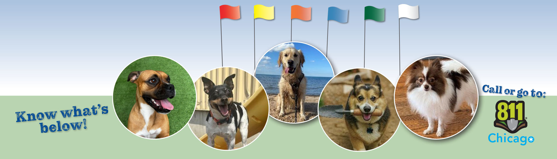Vote for our safe digging ‘ambassadog’