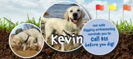 kevin, doggone it winner