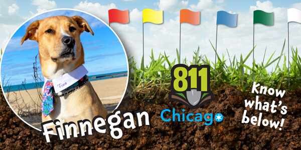 Finnegan, our 2022 Doggone it photo contest winner