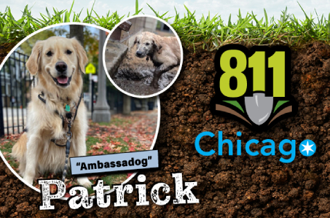 Patrick, our 2025 Doggone it photo contest winner